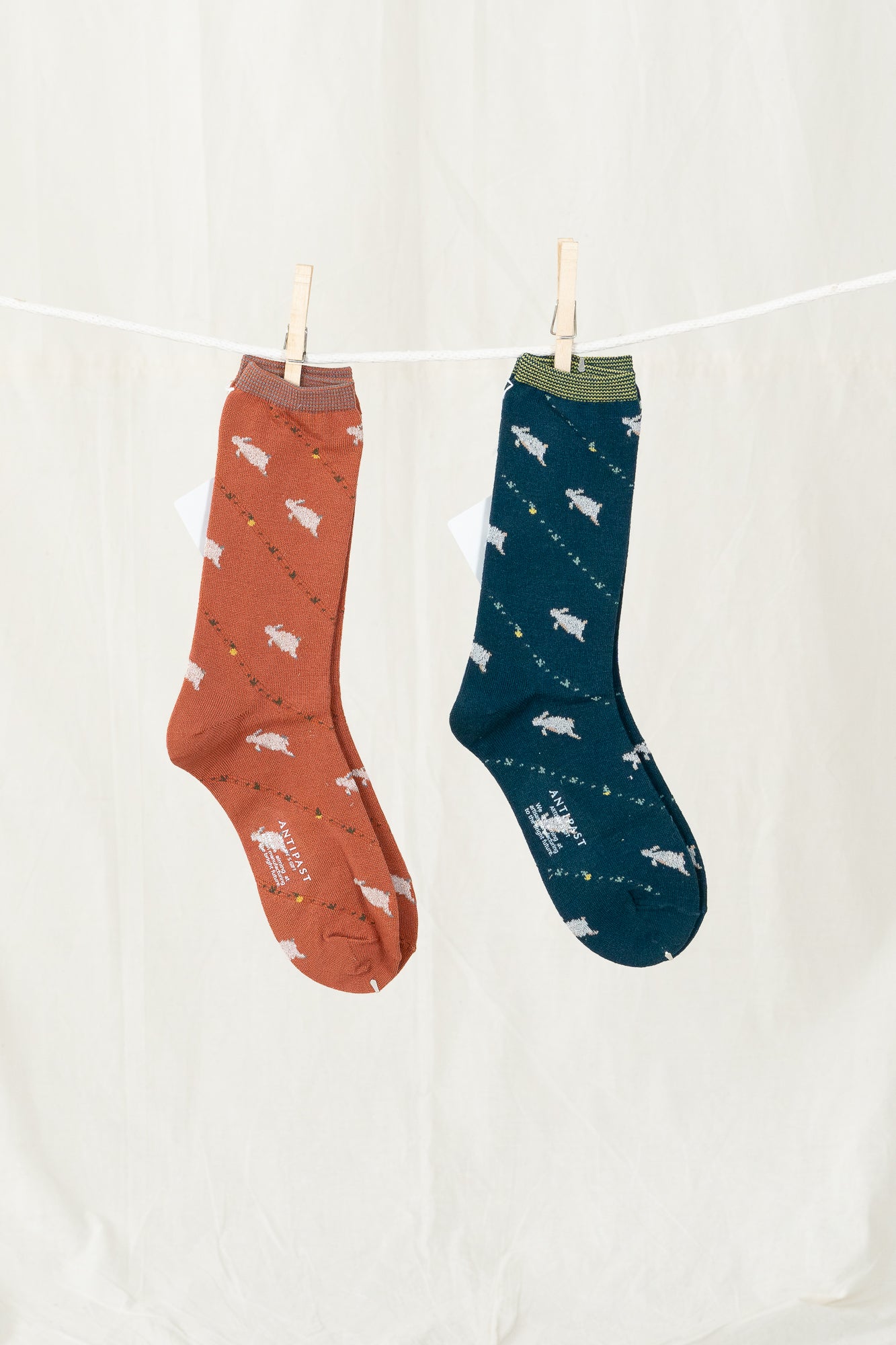 Antipast Bunny Women's Socks - Turquoise