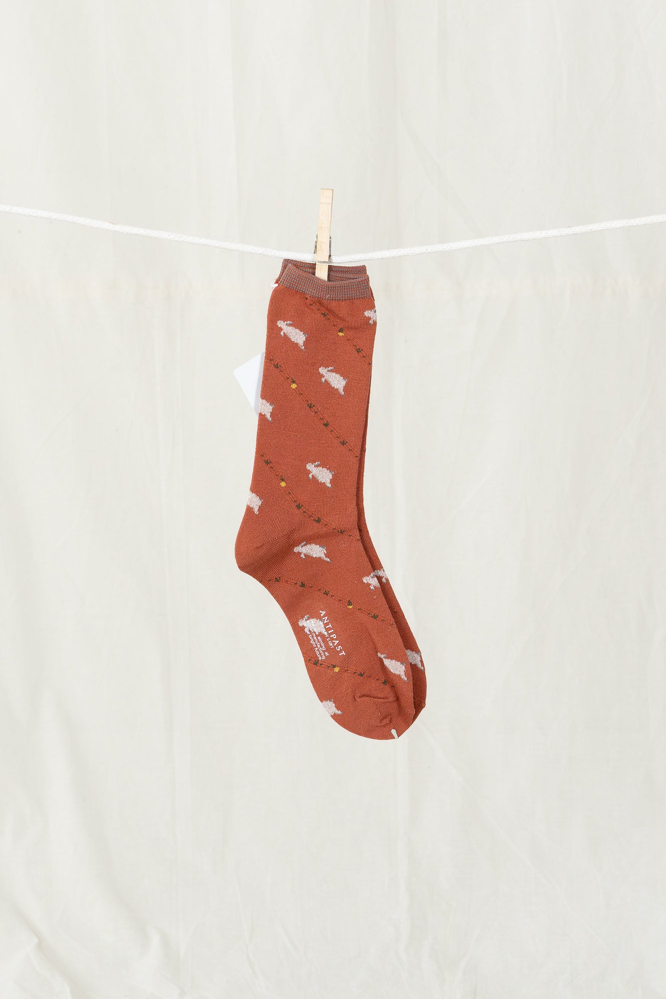 Antipast Bunny Women's Socks - Orange