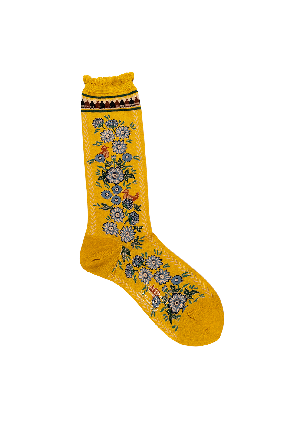Antipast Zalipiu Mural Women's Socks