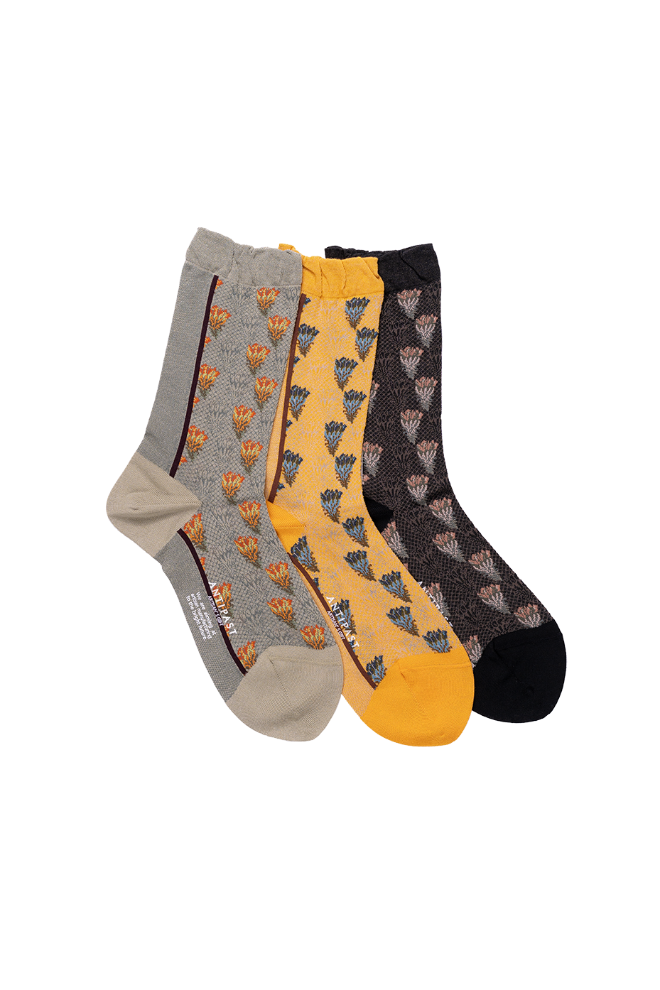 Antipast Women's Cactus Flowers Socks