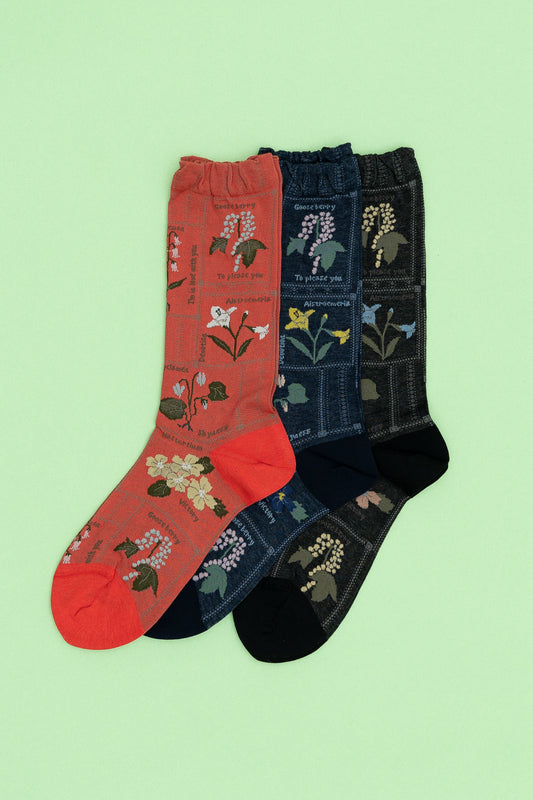 Antipast Women's Botanical XIII Socks