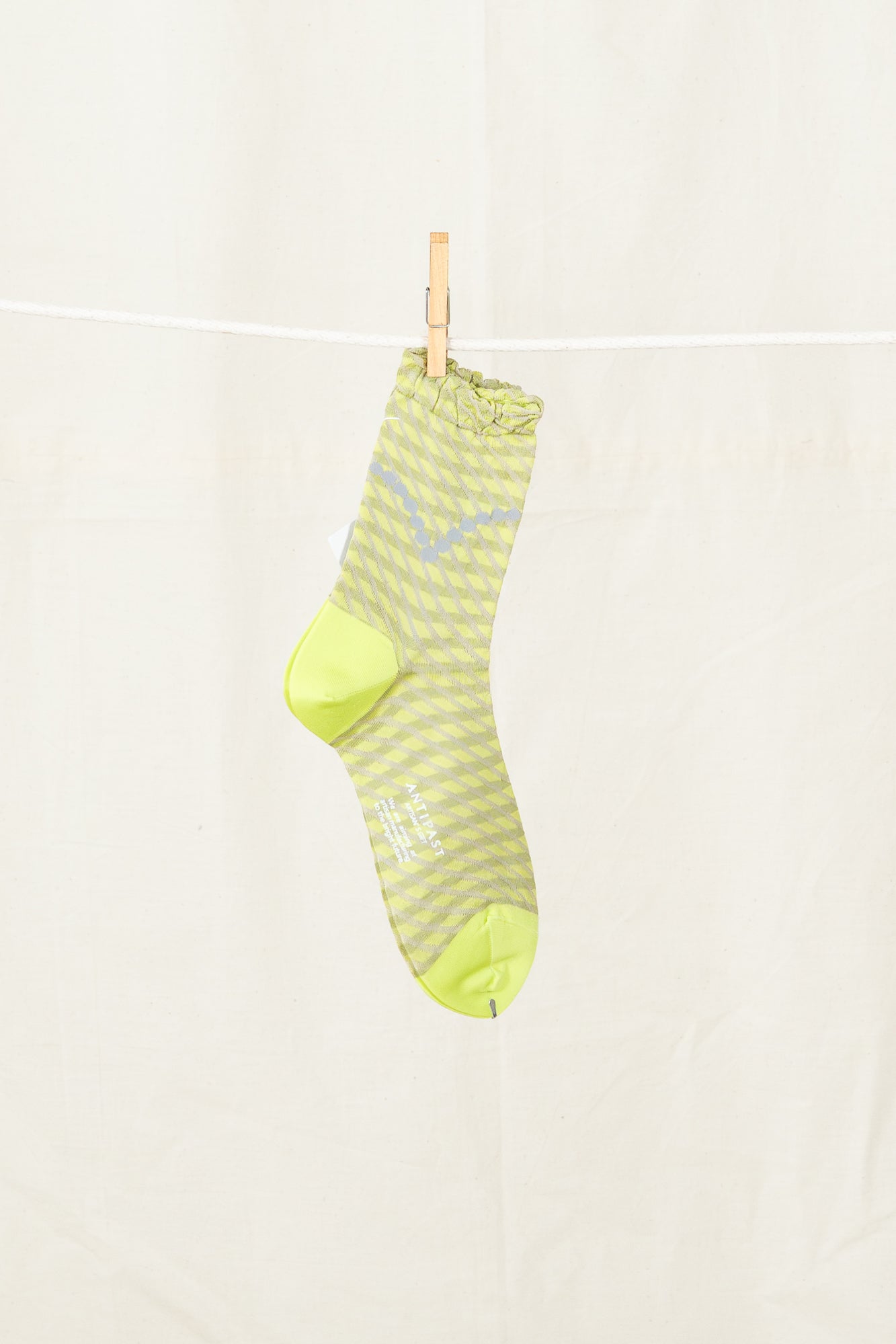 Antipast Women's Candy Check Socks