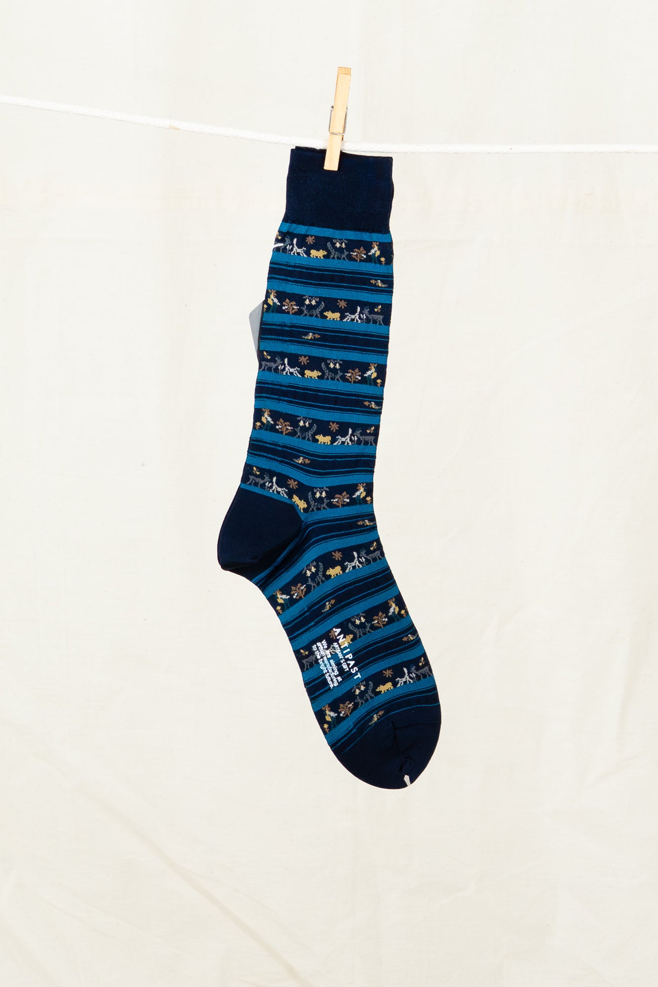 Antipast Men's Parade on Safari Socks