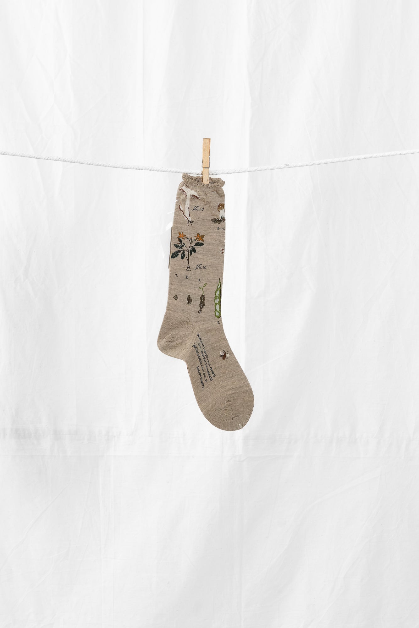 Antipast Botanical XIV Women's Socks Beige