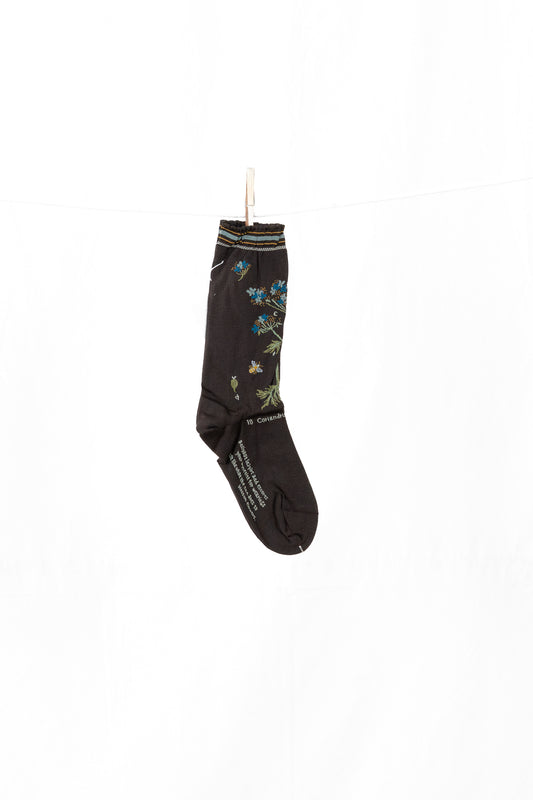 Antipast Botanical XII Women's Socks