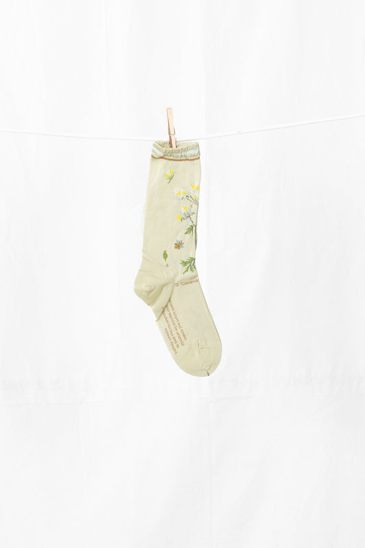 Antipast Botanical XII Women's Socks Mint
