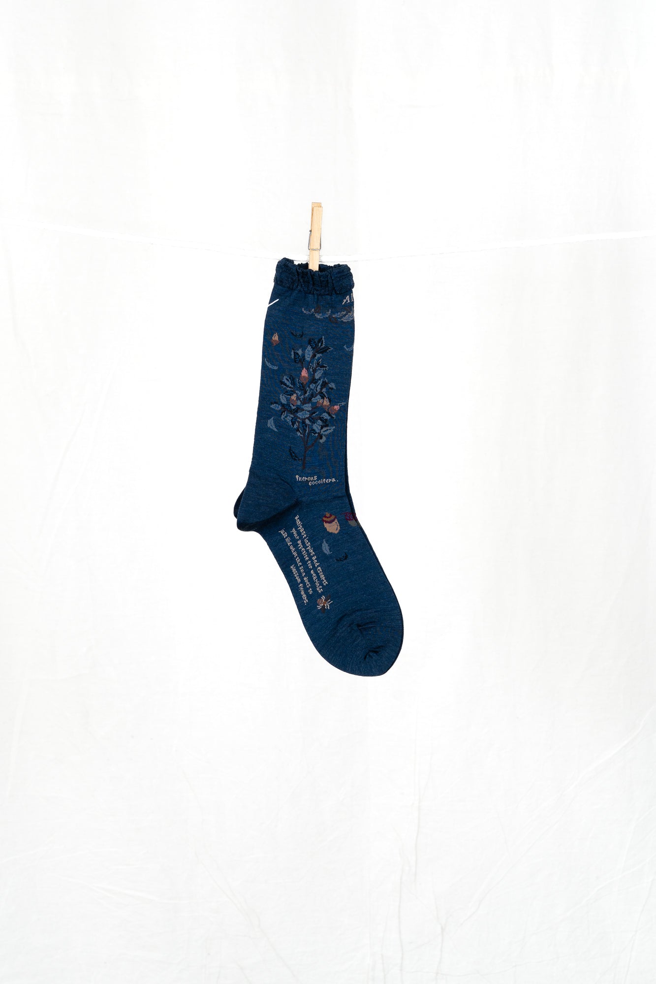 Antipast Wind and Acorn Women's Socks