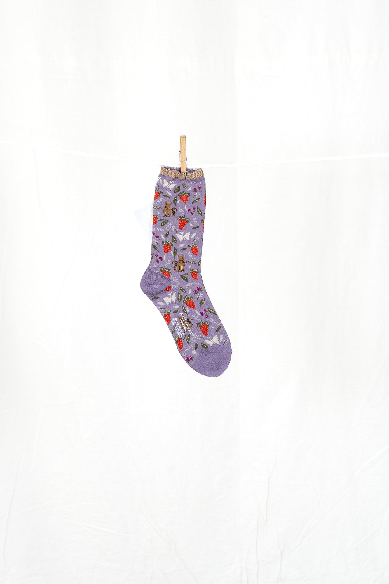 Antipast Garden Cat Women's Socks