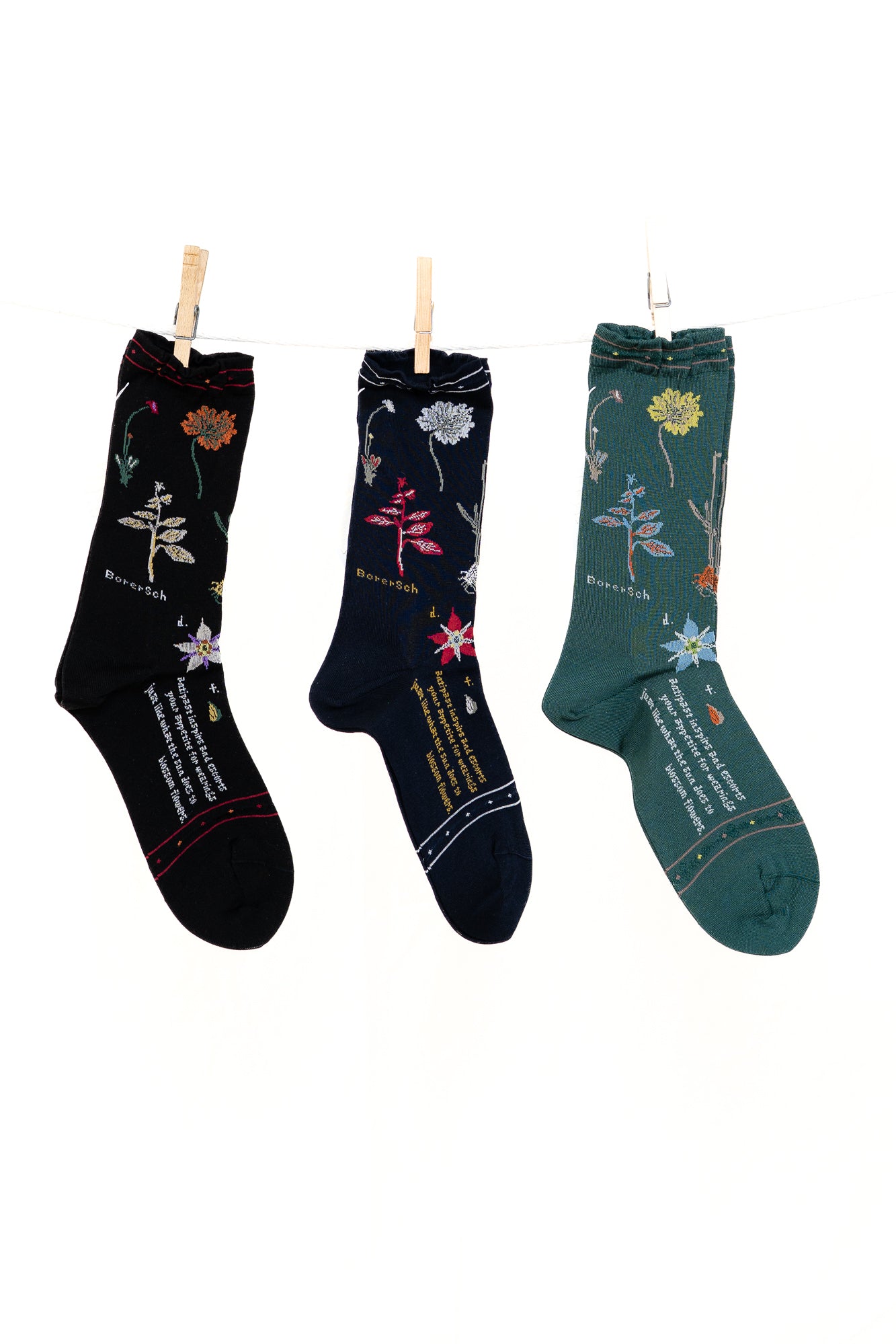 cactus jack socks Antipast Botanical XVII Women's Socks – AB FITS