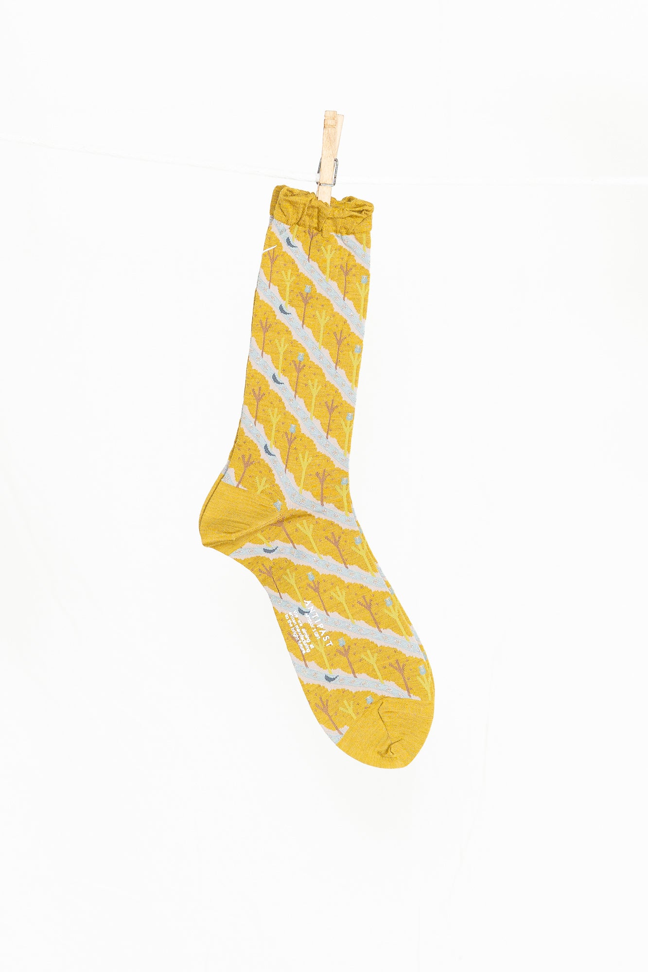 Antipast Owl House Men's Socks