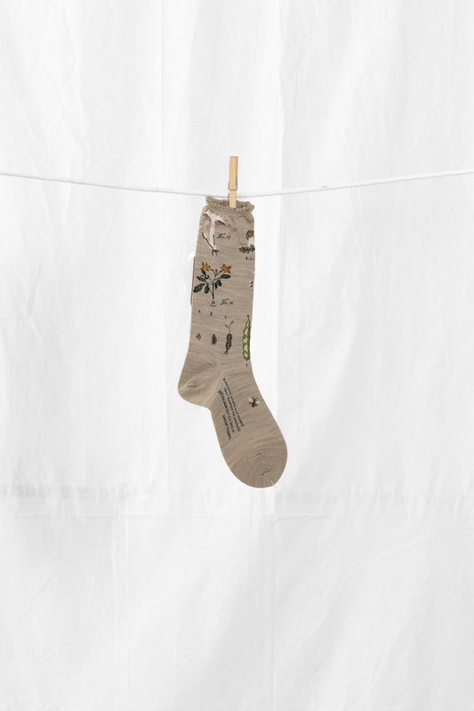 Antipast Botanical XIV Women's Socks