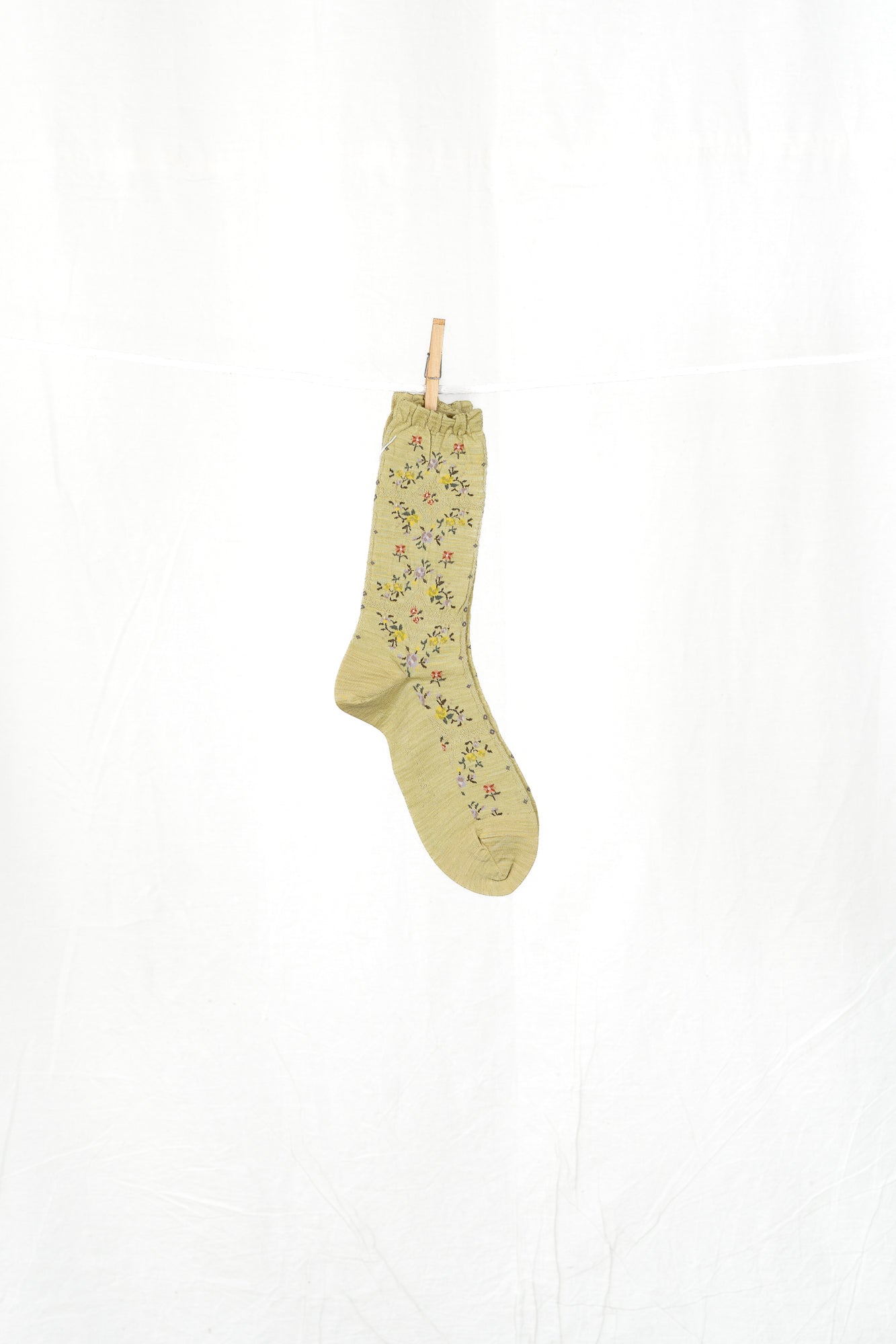 Antipast Rose Wall Women's Socks