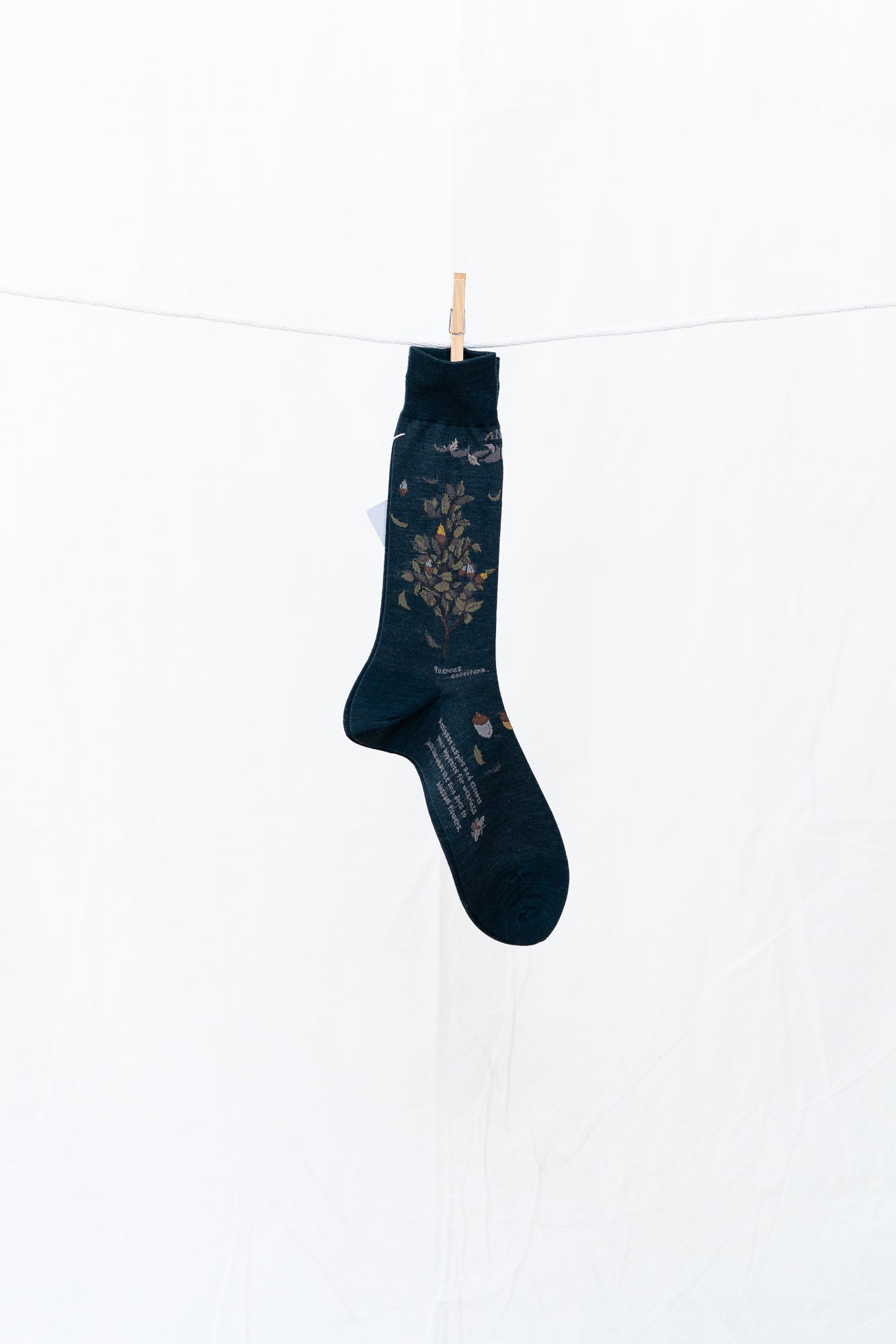 Antipast Wind and Acorn Men's Socks