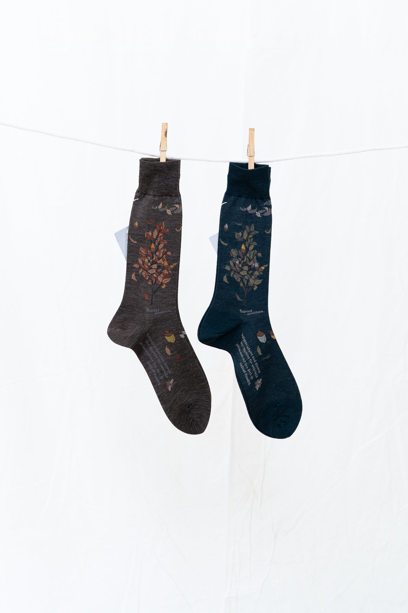 Antipast Wind and Acorn Men's Socks