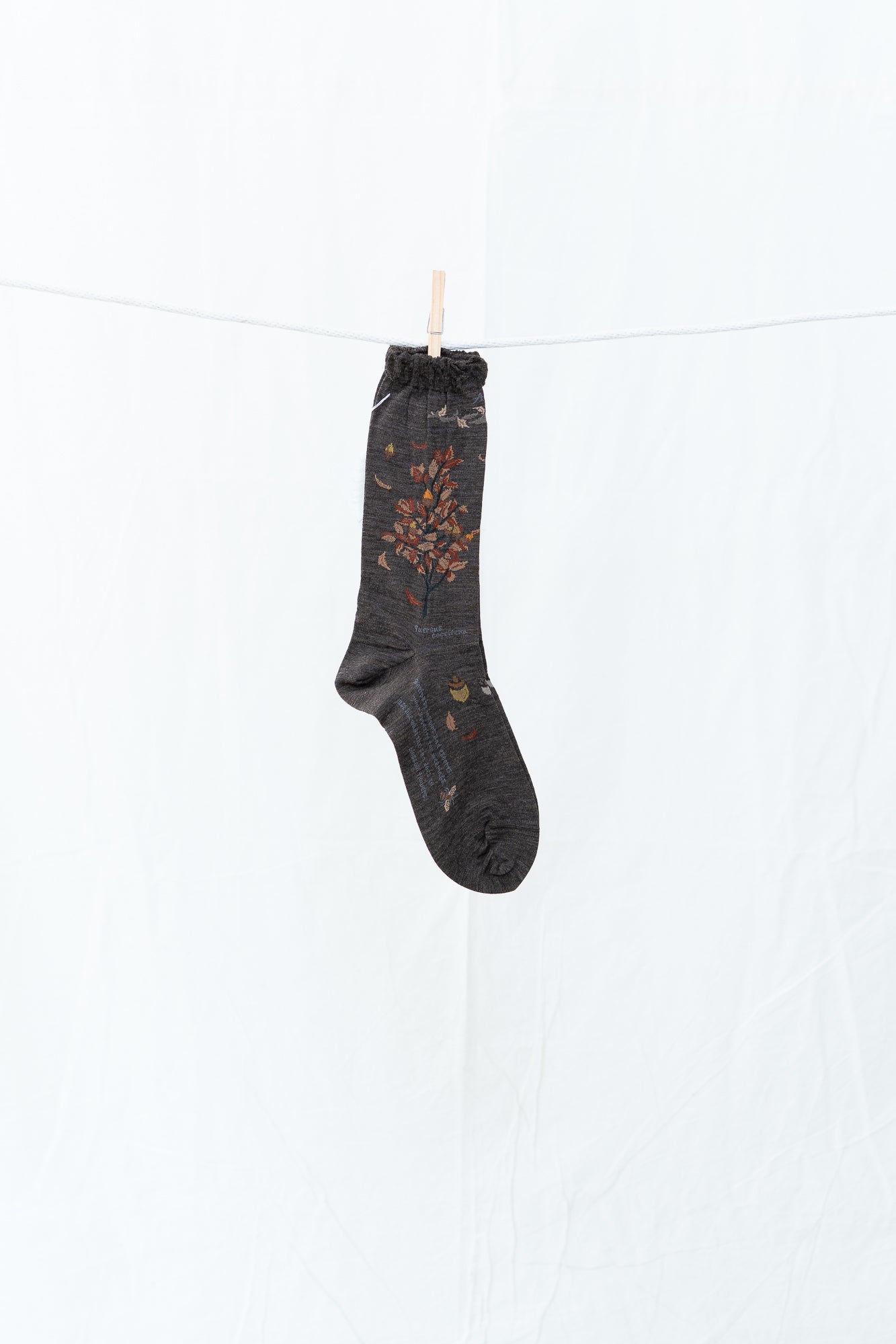 Antipast Wind and Acorn Women's Socks