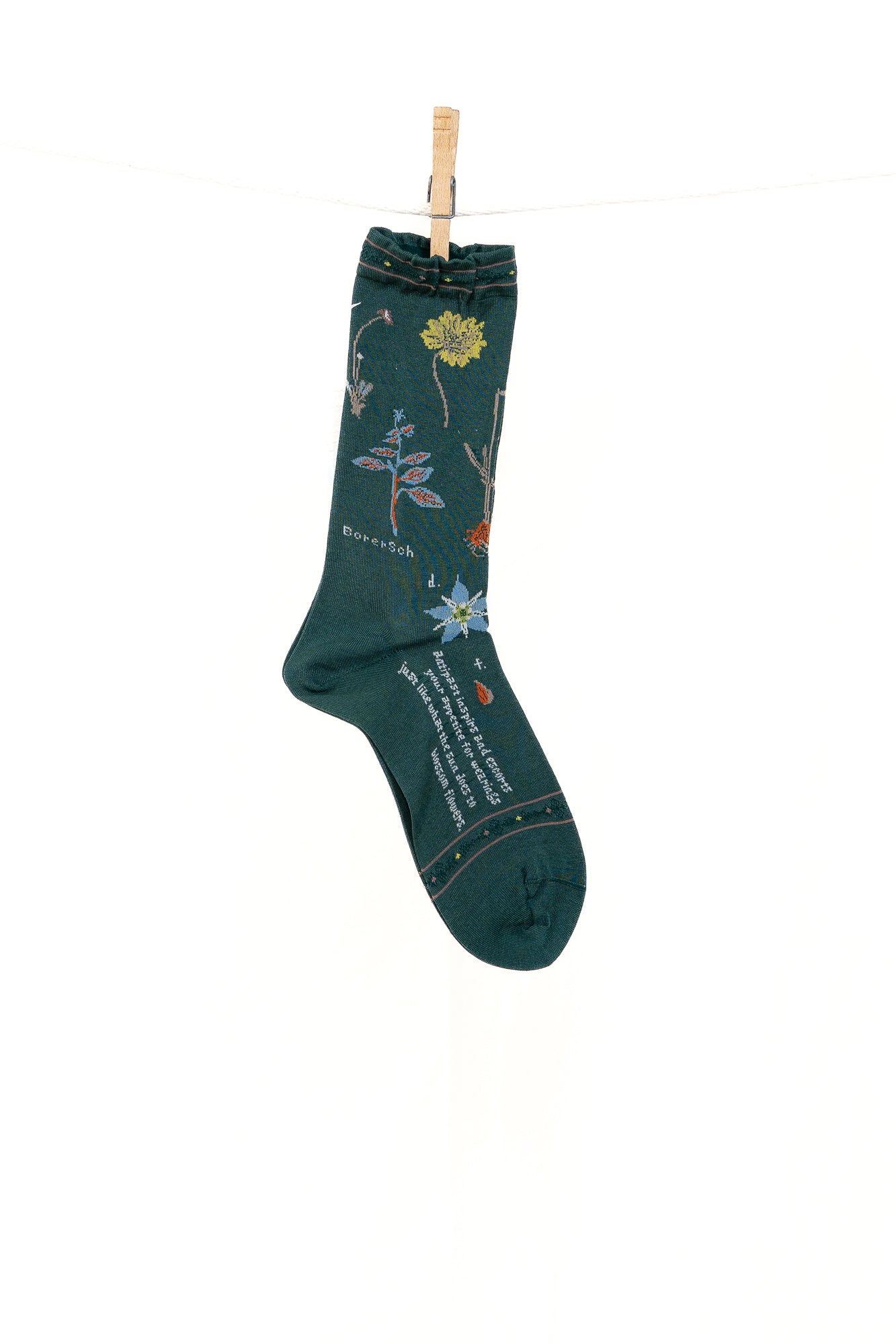 Antipast Botanical XVII Women's Socks