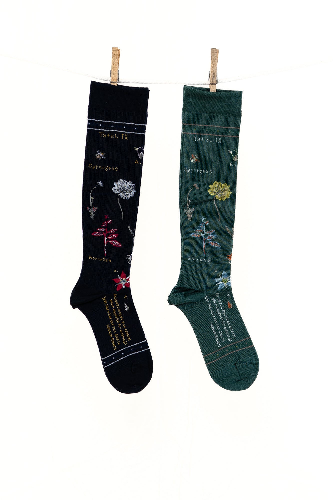 Antipast Botanical XVII Compression Women's Socks