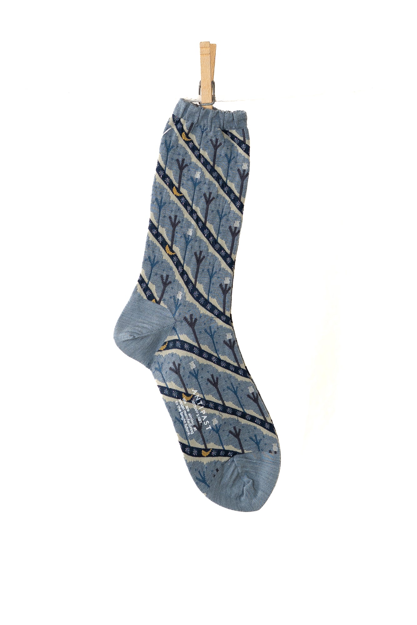 Antipast Owl House Women's Socks