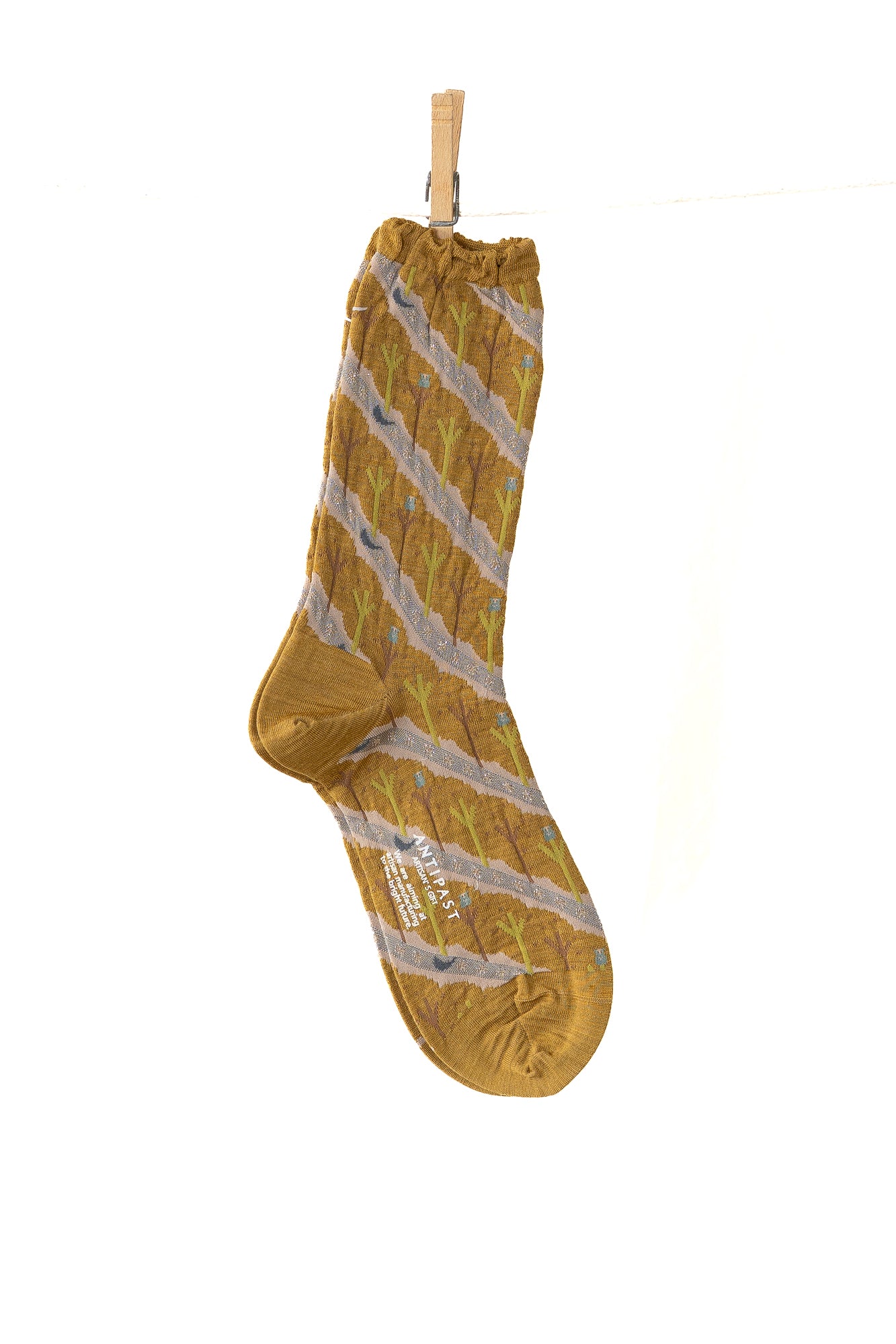 Antipast Owl House Women's Socks