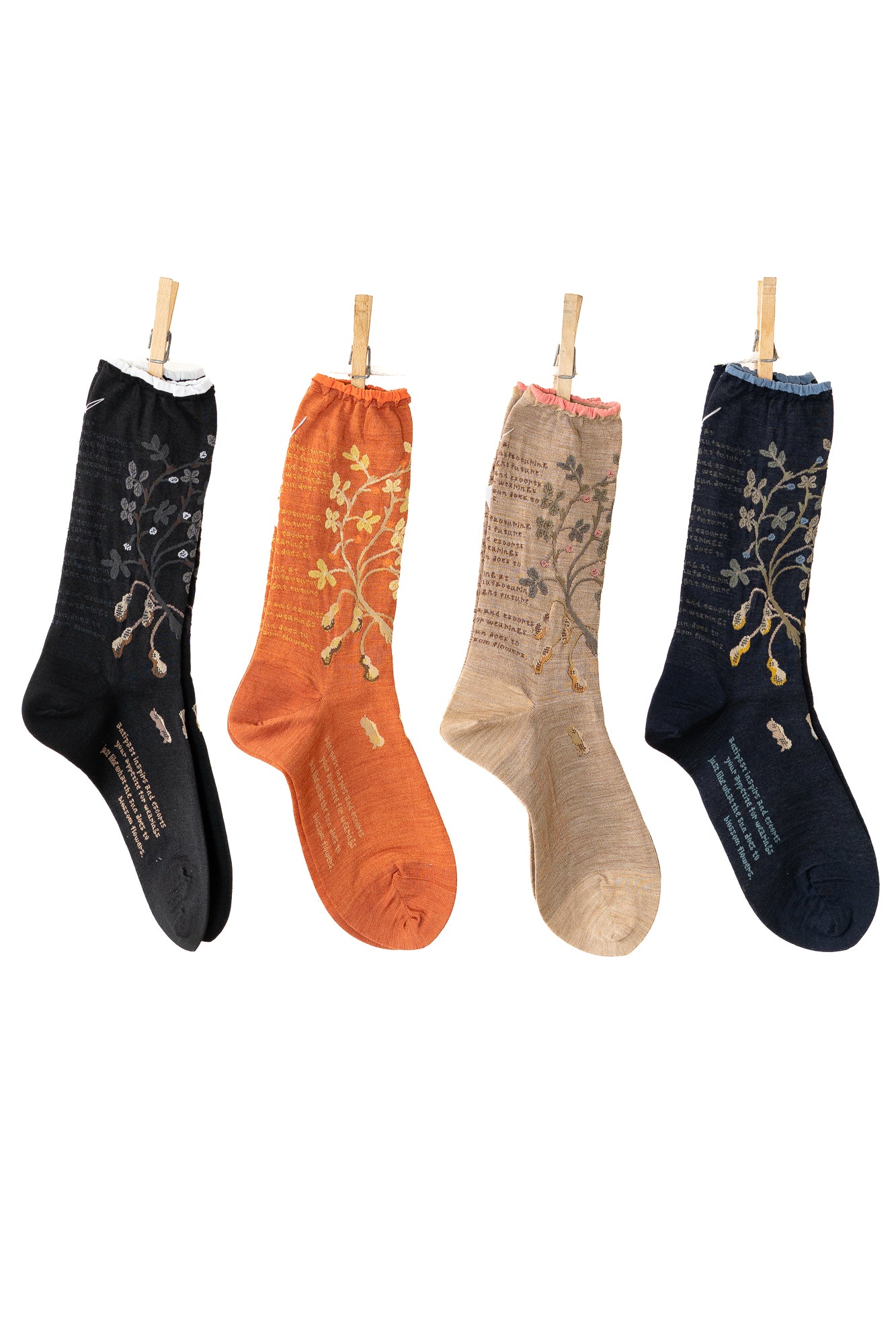 Antipast Peanut Tree Women's Socks