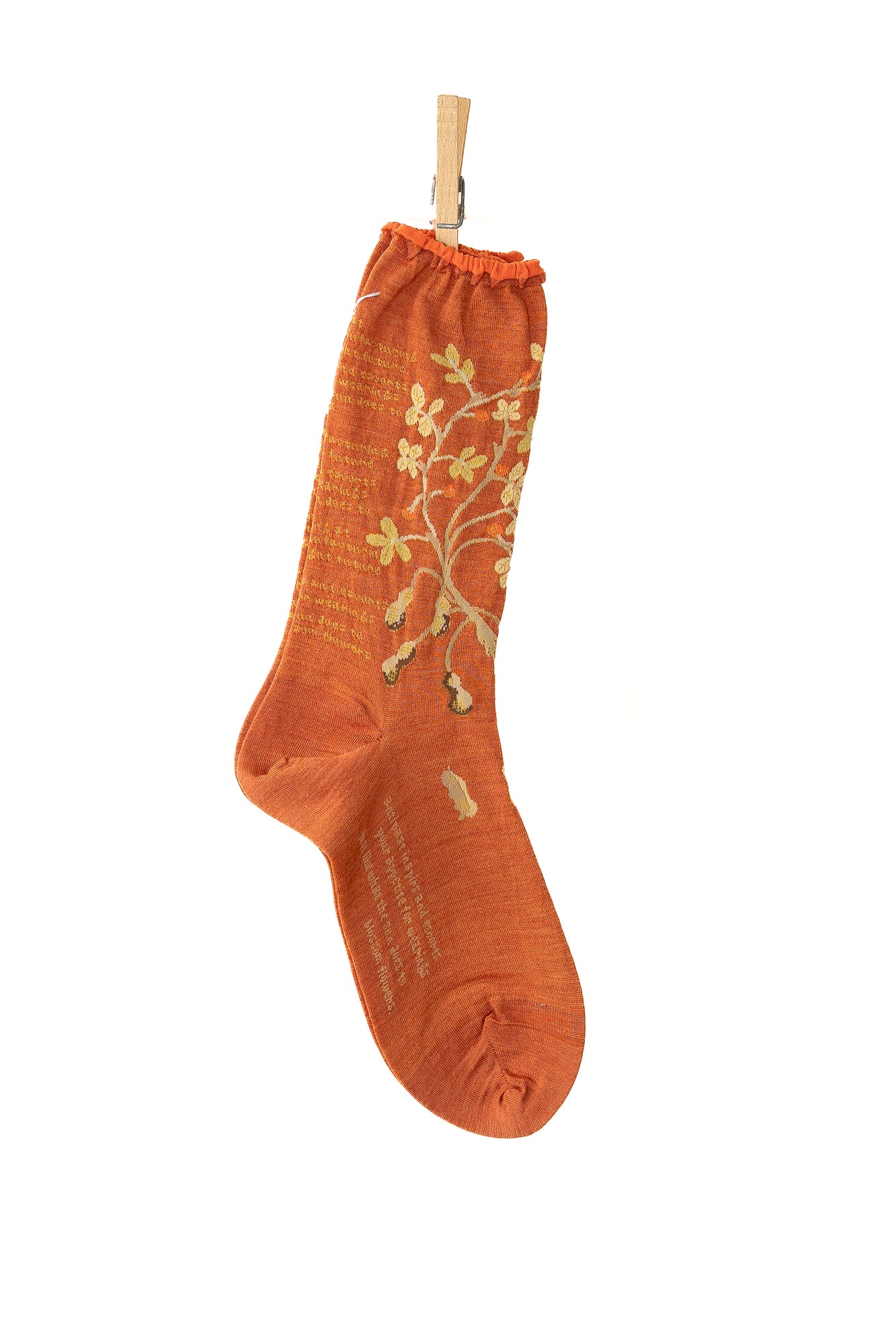 Antipast Peanut Tree Women's Socks