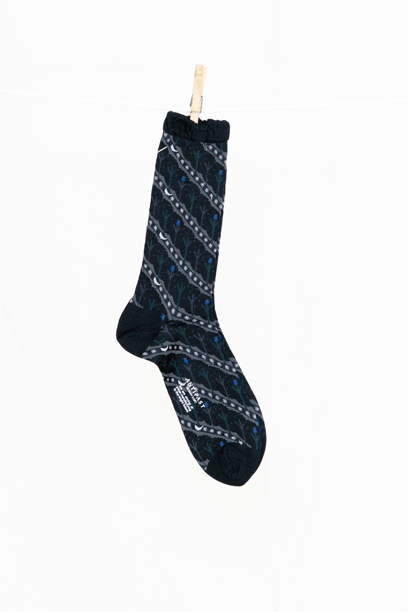 Antipast Owl House Men's Socks